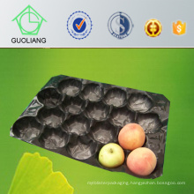 Free Sample Customized Design Disposable Plastic Storage Trays for Fresh Fruit Packing